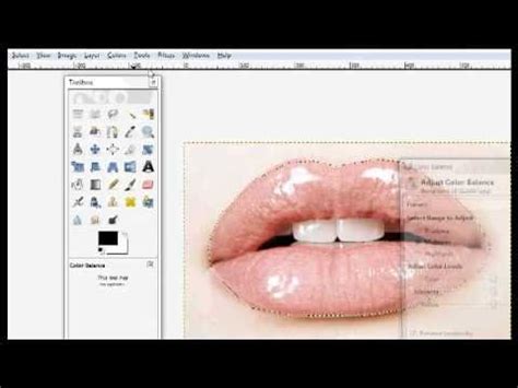 Lipstick Second Life Tutorial Using GIMP 的图像结果