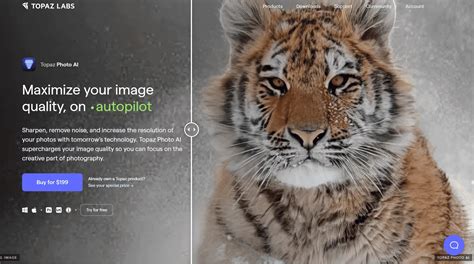 Topaz AI Tutorial 的图像结果