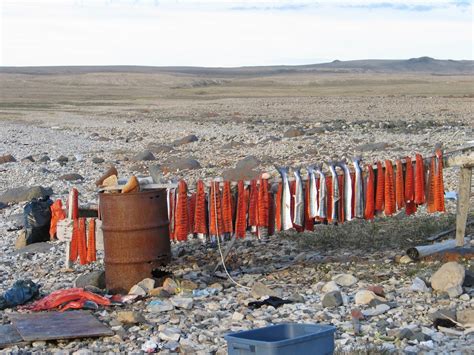 Local Food Production 的图像结果