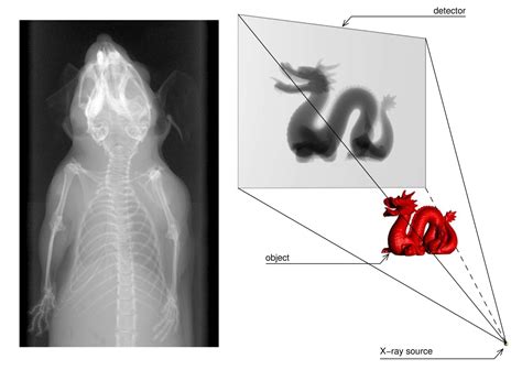 Introduction — X-ray imaging: Physics, Instrumentation & Applications