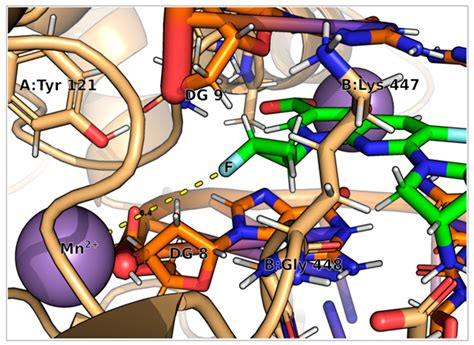 Novel Fluoroquinolones with Possible Antibacterial Activity in Gram ...