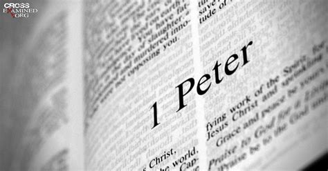 Who Was The First Letter Of Peter Written To at Joshua Mckivat blog