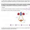 Observe the following diagram carefully and answer the following: (i ...