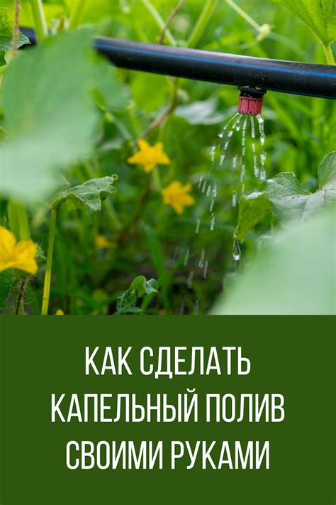 Как сделать капельный полив своими руками: простая инструкция, которая ...