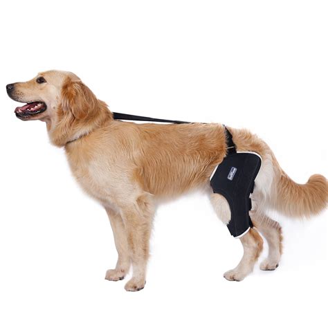 Knee Brace For Torn Acl In Dogs at Terri Barnett blog