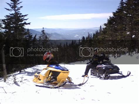 Image result for Tutorial Revman