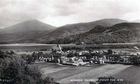 Victorian Plant Collectors-The Good, the Bad, and the Ugly., Kinloch ...