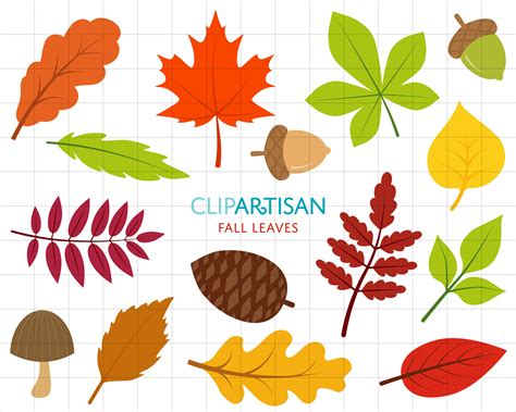 Leaves Clipart