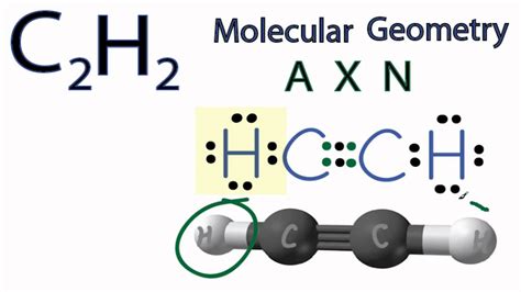 C2H2 Lewis Structure in 6 Steps (With Images)