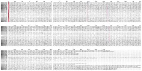 The Bmtret1 Gene Family and Its Potential Role in Response to BmNPV ...
