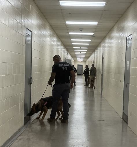 On Tuesday, March 13,... - Cameron County Sheriff's Office