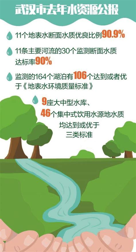 武汉发布2020年度水资源公报，水环境质量呈稳定向好趋势_水质