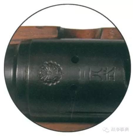 Alien Horse 的图像结果