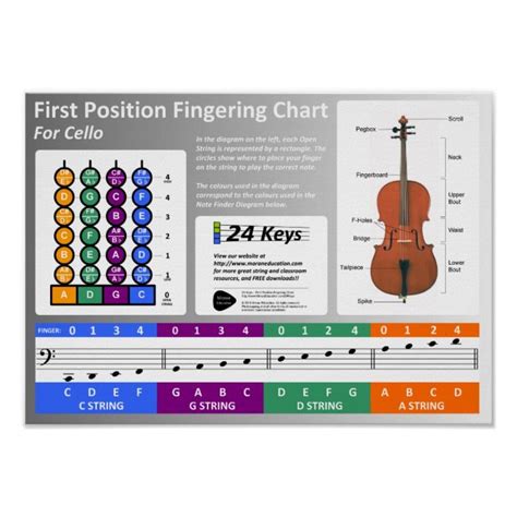 Cello Fingering Chart | Zazzle | Violin fingering chart, Violin, Violin ...