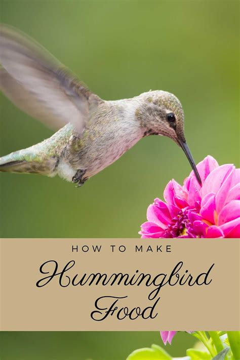 Homemade Hummingbird Food Brown Sugar at Charli Fiaschi blog