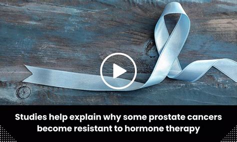 Studies help explain why some prostate cancers become resistant to ...
