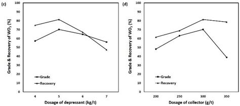 Laboratory Testing of Scheelite Flotation from Raw Ore in Sangdong Mine ...