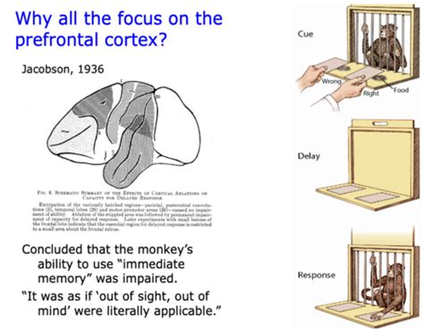 Image result for Transactive Memory Quizlet