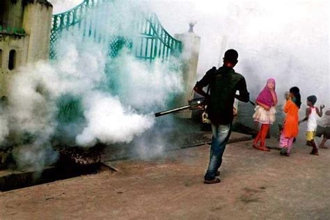 A 101 guide on the mosquito menace