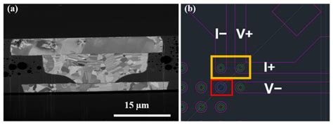 Recrystallization and Grain Growth in Cu-Cu Joints under ...