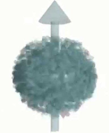 Image result for How to Build a Quantum Computer