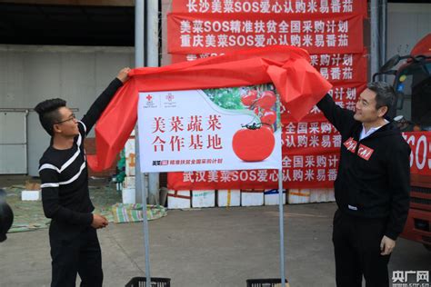 中国红十字基金会“美菜SOS精准扶贫全国采购计划”发起“让爱持续”回访活动 助力米易农业产业赋能升级_央广网