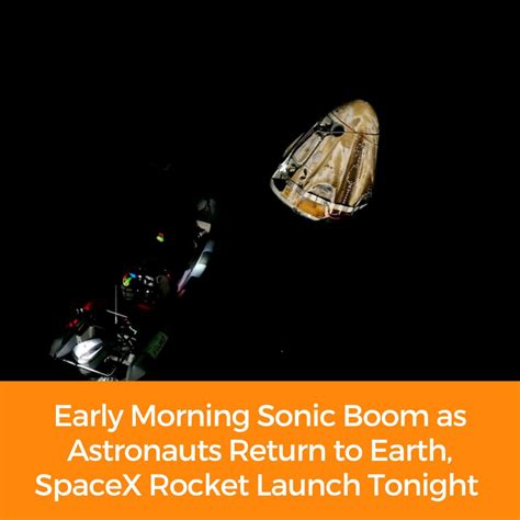 Edhat Santa Barbara | A young black bear was spotted wandering through ...