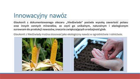 Technologia 的图像结果