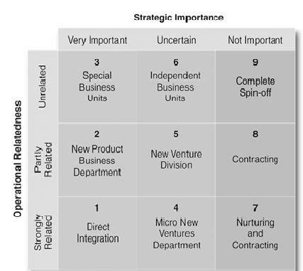 Corporate Entrepreneurship 的图像结果