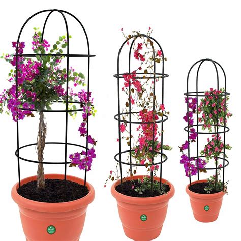 Gardening Tools & Products For Plant Lovers