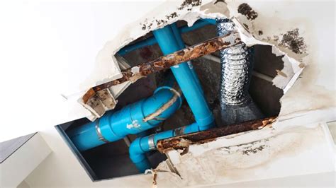 Where & Why Do Pipes Burst? - Look After Your Plumbing ‐ Woolf Plumbing