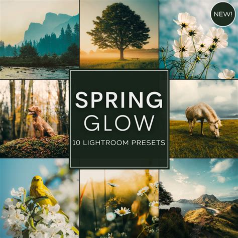 Spring Glow LIMITED Lightroom Presets Pack – Woodland Presets