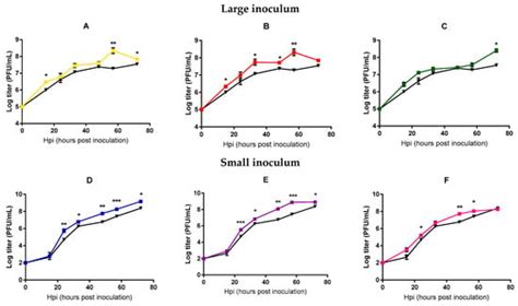 Directed Evolution of a Mycobacteriophage