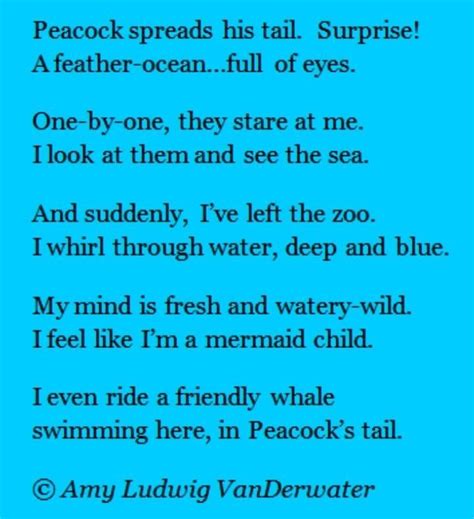 a wonderful bird is the peacock limerick - Brainly.in