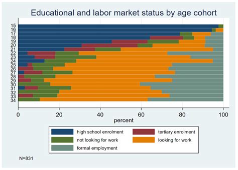 South African Youth and the Labor Market