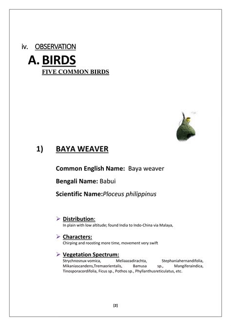 evs project on study of birds,insects and plants | PDF