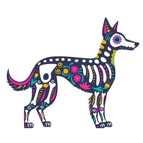Xoloitzcuintli dog skeleton decorated with flowers and decorative elements, side view. Festive ...
