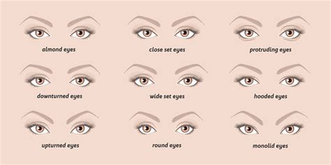 Fisik Manusia — andromeda