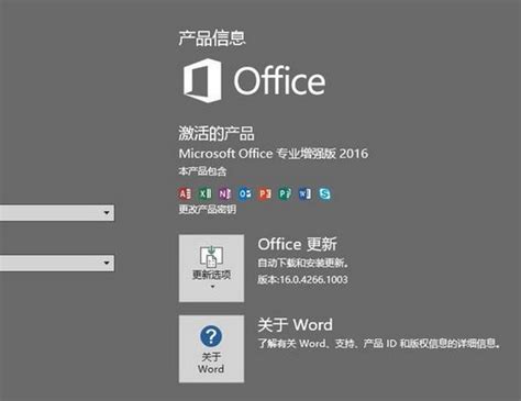 Microsoft office 2016精简免激活安装版--系统之家
