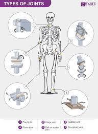 Draw different types of joints and there 2 characteristics /features of ...