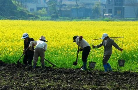 春耕春种正当时，田间地头正忙碌