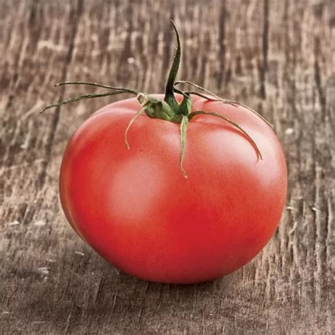 Beefmaster Hybrid Tomato Seeds Large Juicy Meaty Beefsteak Tomatoes ...