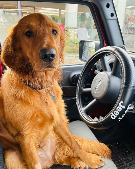 Hallmark's Warren Christie: 5 Things to Know About ‘Holiday Road’ Star ...