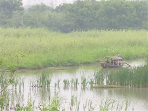 Xixi Wetland Park (Hangzhou) - 2021 What to Know Before You Go (with ...