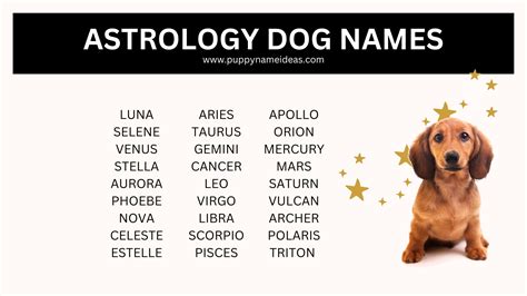 Best dog for cancer zodiac 60 photos - Astrologytoyou.com