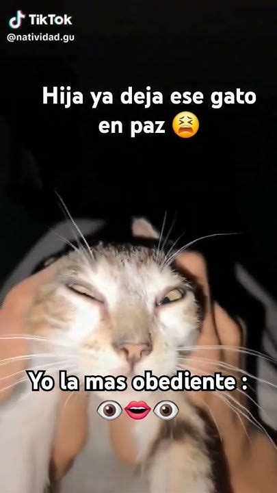 Image result for Fathom Hub Script