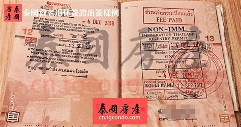 办理泰国留学签证时需要注意哪些事项？ - 知乎