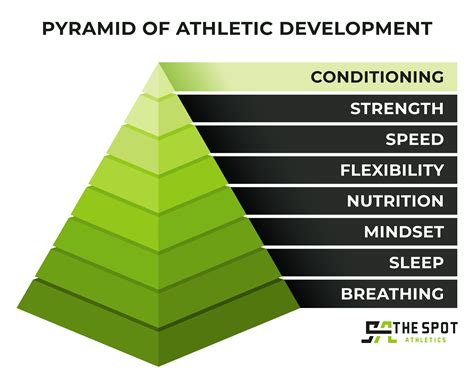 What Is Sport It Mean at Skye Clarey blog