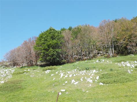 Parco Nazionale Gran Sasso e Monti della Laga