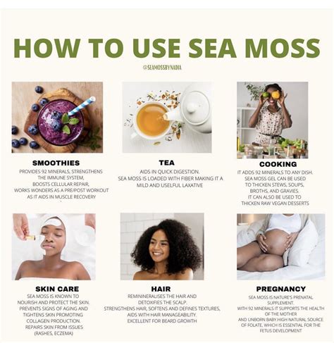 Seamoss Valley on X | Sea moss, Seamoss benefits, Herbs for health